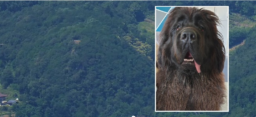Alaska è scomparsa nei boschi di Pergine